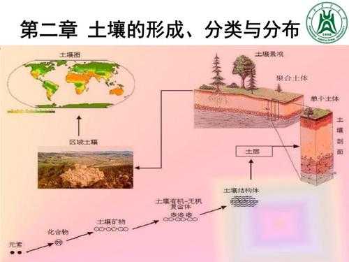 阐述土壤的形成过程（总结土壤的形成过程）-图3