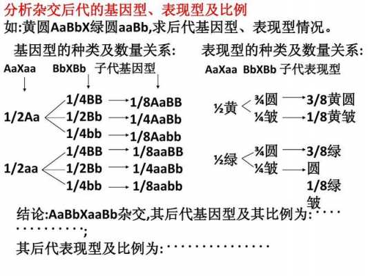 Aa杂交Aa过程（aa和aa杂交后代的类型）-图3