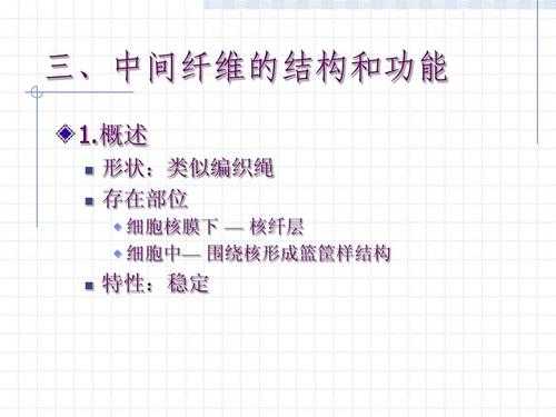 中间丝的装配过程（中间丝的四种主要类型是什么?它们的功能是什么?）-图1