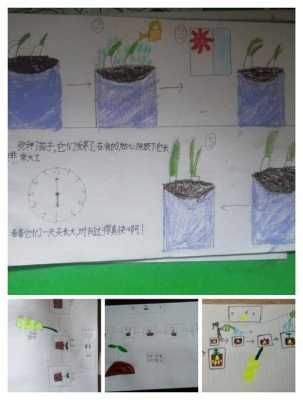 种子过程（种子过程手抄报）-图3