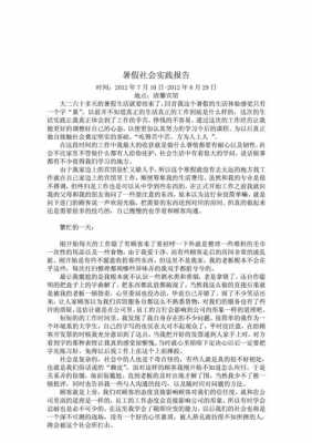 社会服务过程3000（社会服务过程记录及感想怎么写）-图3