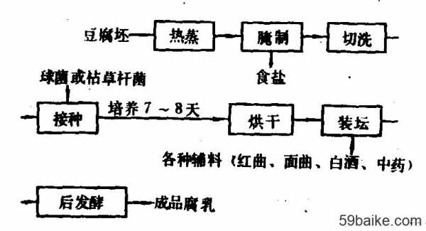 制腐乳过程图（腐乳制作流程图）-图1