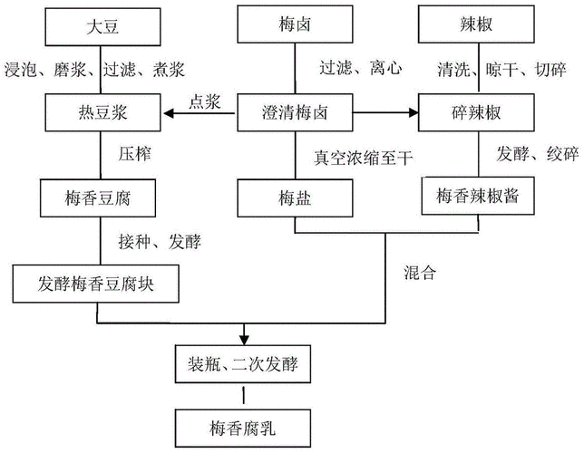 制腐乳过程图（腐乳制作流程图）-图3