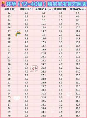 分娩过程枕额径（枕额径与孕周对照表）-图3