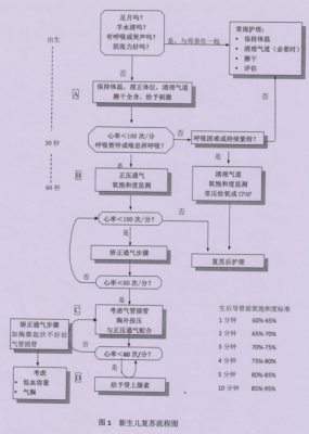 新生儿复苏的过程（新生儿复苏的过程包括）-图3