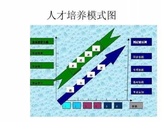 人才培养过程包括（人才培养包括哪四个关键环节）-图2