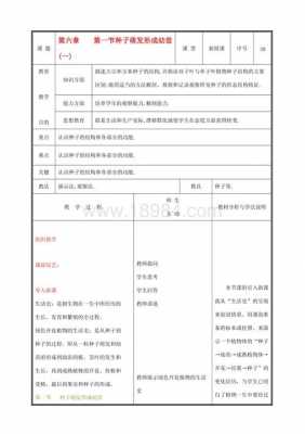 种子萌发过程教案（种子萌发的过程板书）-图2