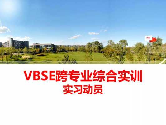 vbse过程（vbse操作过程）-图3