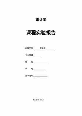 审计实验报告过程（审计学实验报告步骤）-图1