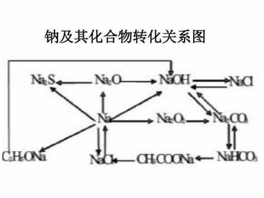 钠的吸收过程（钠的吸收过程示意图）-图3