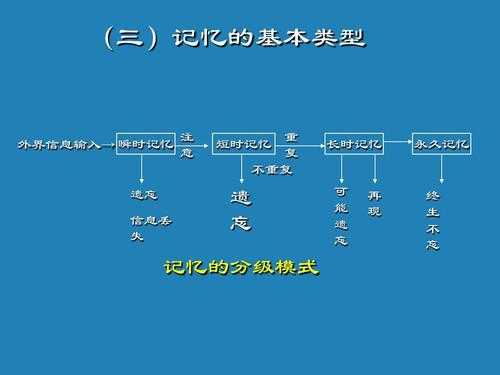 记忆的认识过程（记忆过程的知识或认知活动）-图1