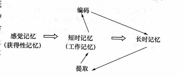 记忆的认识过程（记忆过程的知识或认知活动）-图2