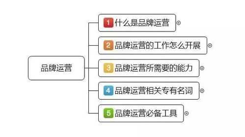 品牌运营过程（品牌运营从哪几方面）-图1