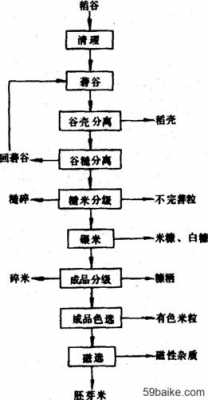 米的生产过程图片（米的生产过程中的环节）-图2