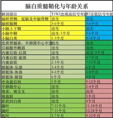 早产儿髓鞘化过程脑（早产儿脑白质髓鞘化）-图1