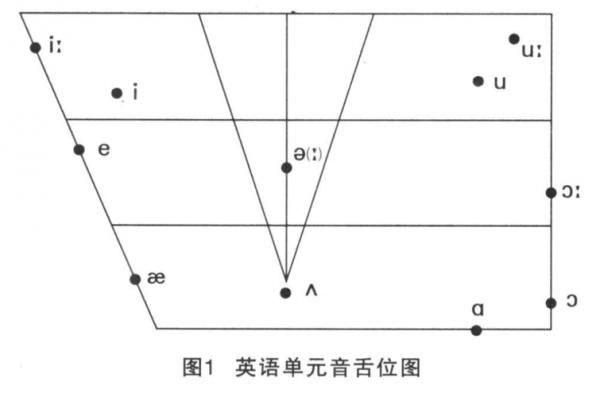 描述元音音位过程（描述元音音位过程的句子）-图1