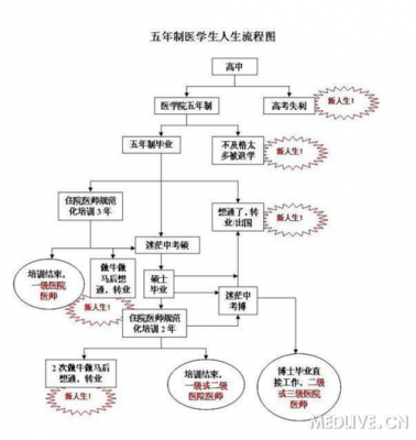 学医的整个过程（学医的主要流程）-图1