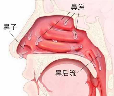 鼻涕产生的过程（鼻涕产生过程视频）-图1