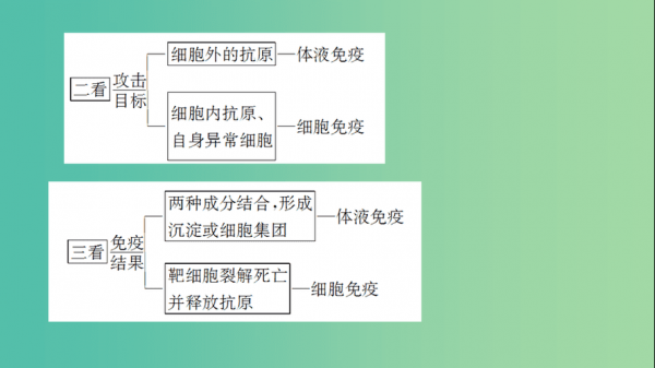 细胞免疫应答的过程（细胞免疫应答的过程不包括）-图1