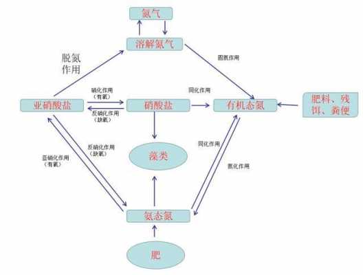 图示氮循环过程（氮循环示意图方程式）-图1