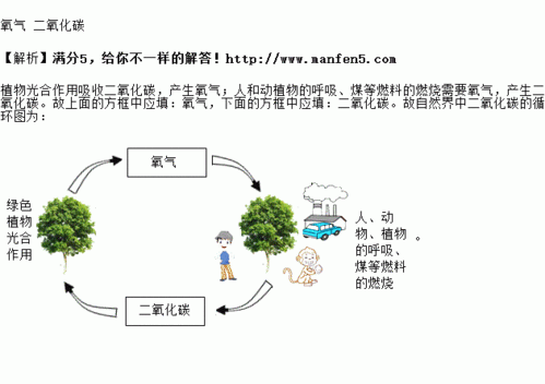 二氧化碳的过程（二氧化碳的过程图）-图1