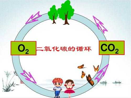 二氧化碳的过程（二氧化碳的过程图）-图3