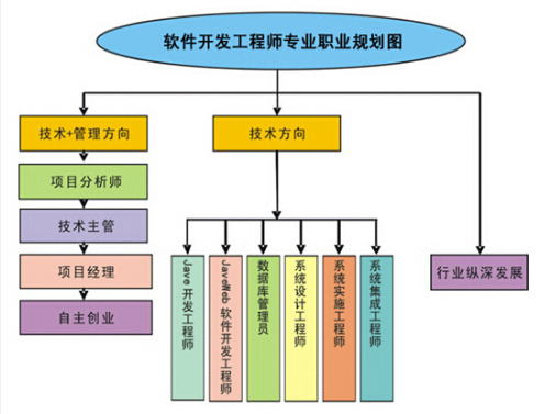 职业开发的过程包括（职业开发的作用）-图1