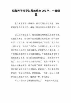 种子发芽的过程作文（观察种子发芽的过程作文）-图3