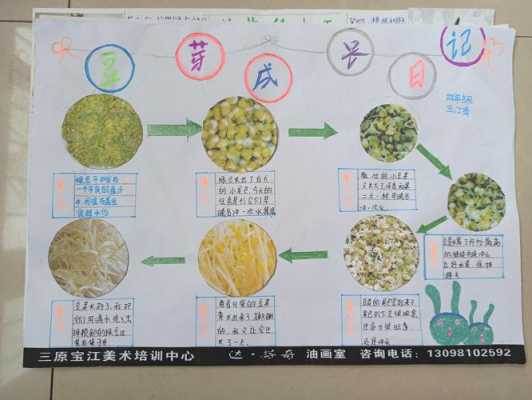 描述植物成长过程（植物成长情况）-图3