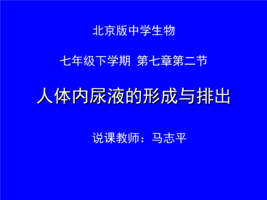 尿液的形成过程说课稿（尿液的形成和排出说课）-图2