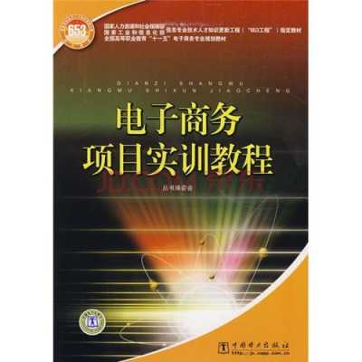 电子商务支付实训过程（电子商务支付实训过程怎么写）-图2