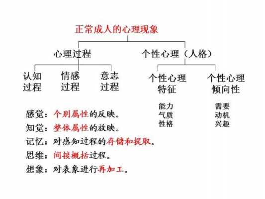 心里过程指的是什么（心理过程什么意思）-图3