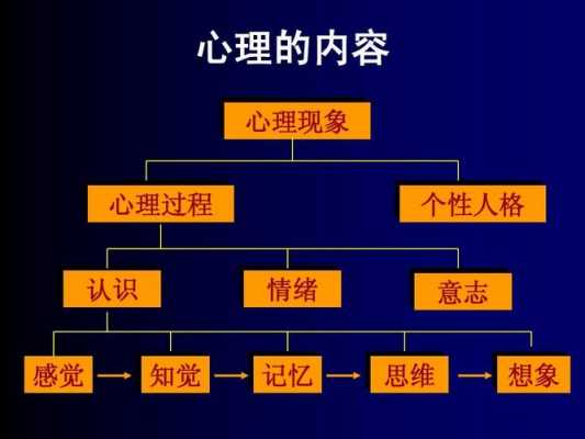 心里过程指的是什么（心理过程什么意思）-图2