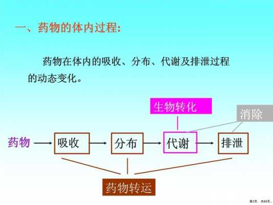 药物的转运过程包（药物的转运过程包括）-图3