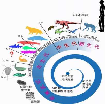 损伤演化过程（损伤演化过程包括哪些）-图1