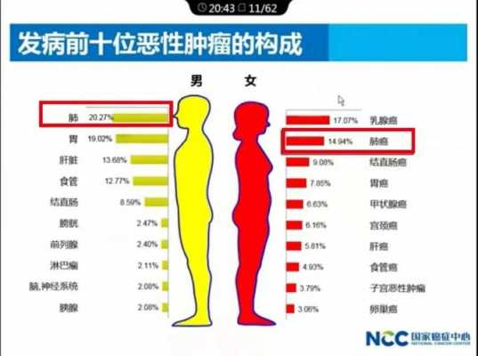 癌症的发病过程（癌症的发病过程是怎样的）-图1