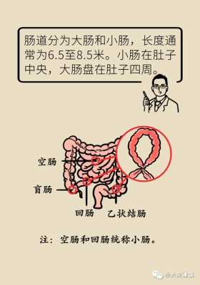 肠扭转过程（肠扭转的危害）-图1