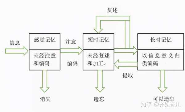 记忆过程有几个环节（记忆过程有几个环节?）-图2