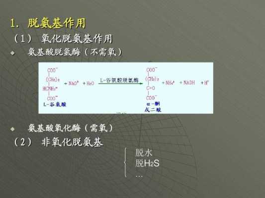 氧化脱氨过程（氧化脱氨基作用在哪里发生）-图2