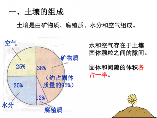 按土壤形成的过程（按土壤形成的过程分成四层从下到上依次是）-图1