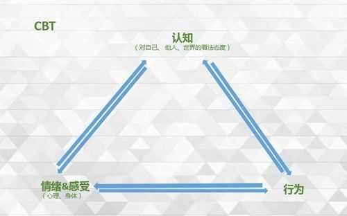 不属于认知过程是（不属于认知过程的有 a 思维 b 记忆 c 意志 d 感觉）-图2