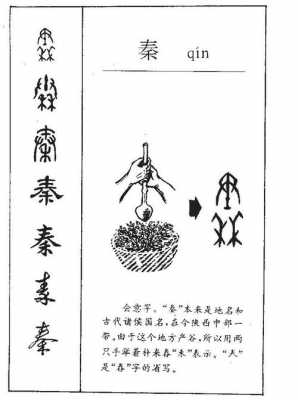 秦书写演变过程（秦字的历史和现状）-图2