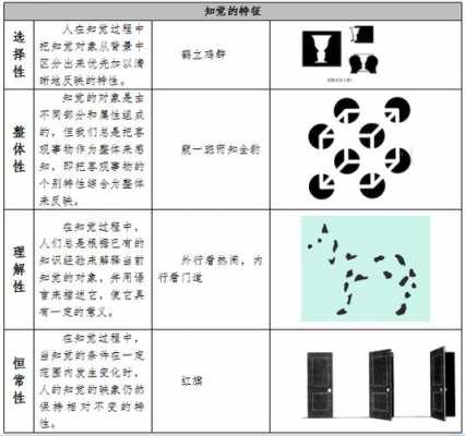 知觉的五个过程（知觉的五个过程包括）-图1