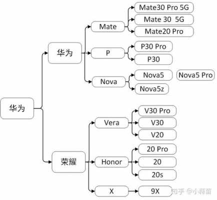 华为产品选择过程（华为的选择案例）-图2