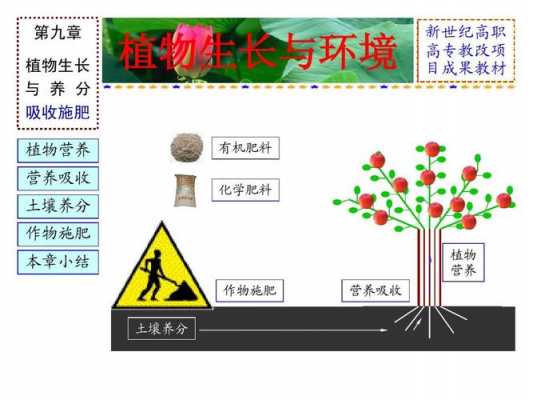 养分吸收过程（养分吸收过程是什么）-图1