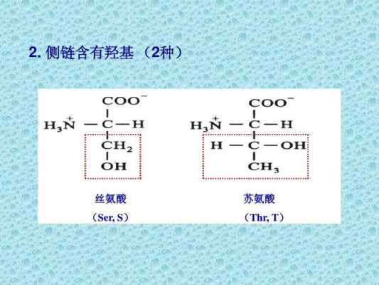 丝氨酸解离过程（丝氨酸解离方程式）-图1