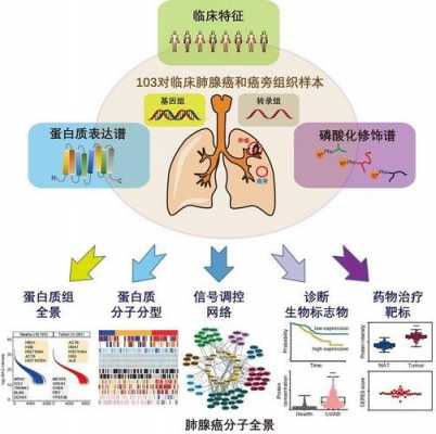 肺腺癌进化过程（肺腺癌的三个发展阶段过程）-图2