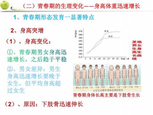 男生青春期发育过程（男生青春期发育过程各个阶段）-图1