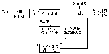 体温调节过程图解（体温调节过程图解简易）-图3