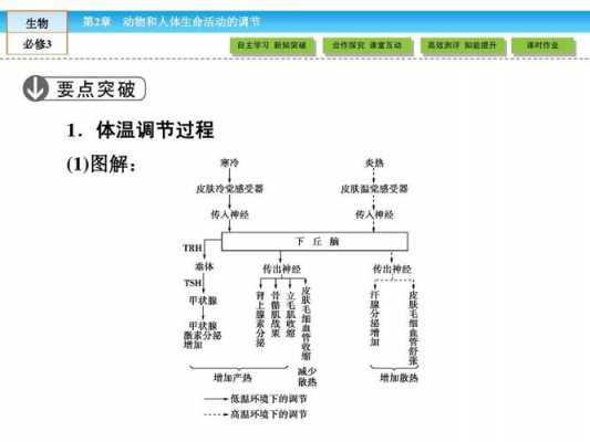 体温调节过程图解（体温调节过程图解简易）-图2